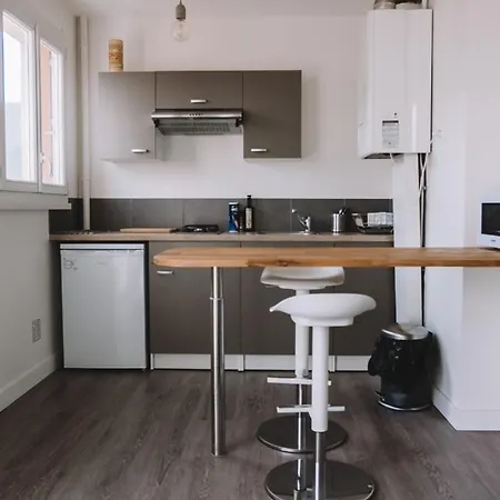 Contemporary Studio With Balcony In Compans Apartment